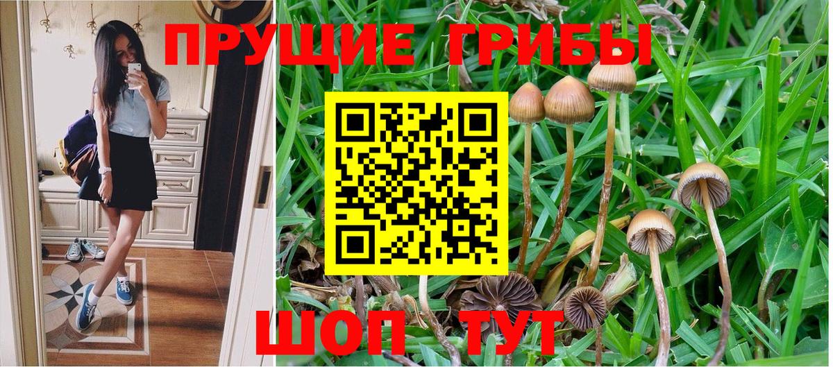 Галлюциногенные грибы Magic Shrooms Курчалой
