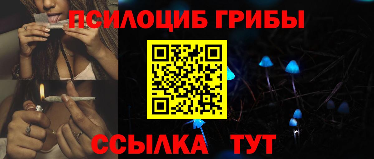 Курчалой  Псилоцибиновые грибы GOLDEN TEACHER  Вход с VPN  Псилоцибиновые грибы Cubensis 