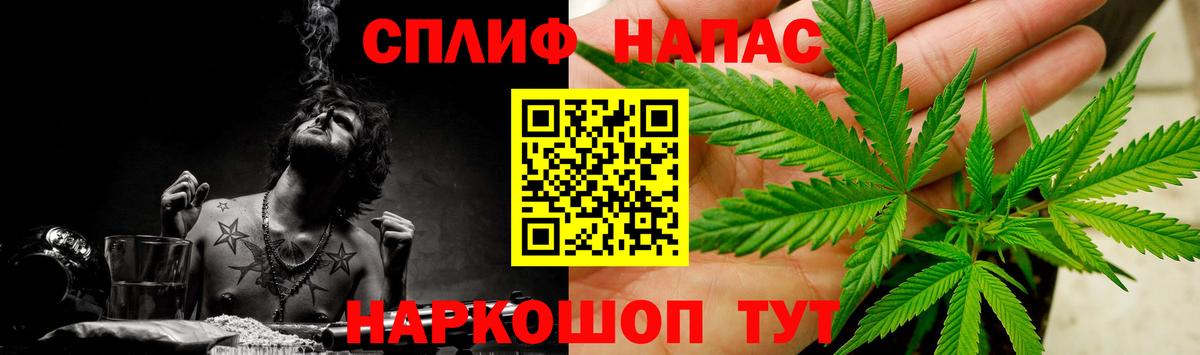 Курчалой  Бошки Шишки Ganja  Бошки Шишки план  Вход с VPN 